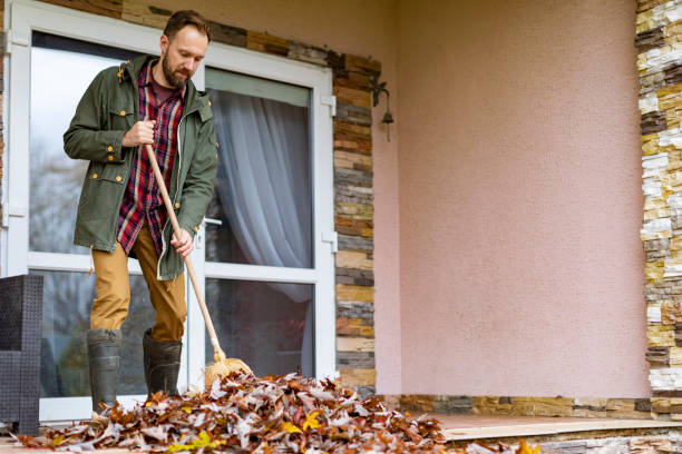 Debris Removal in Bayonne, NJ